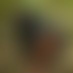 Ayline6676, Femme, 35 ans, La Colle (3)